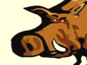 dzik hunter: shoot the wild boars